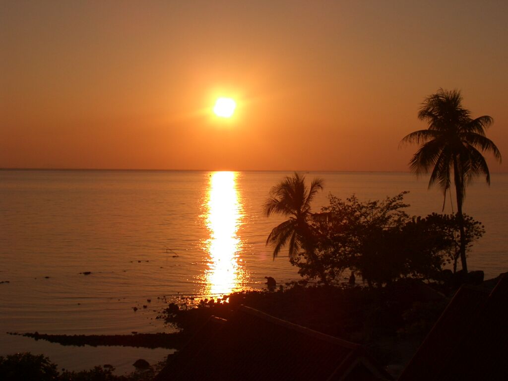 Click to See Next Image